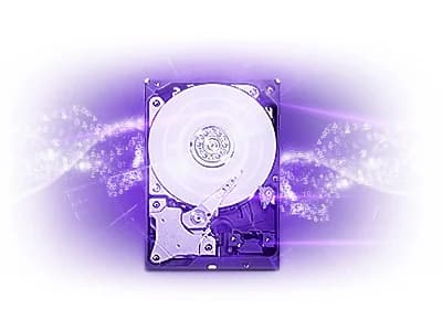 Western Digital WD221PURP 22To 512Mo