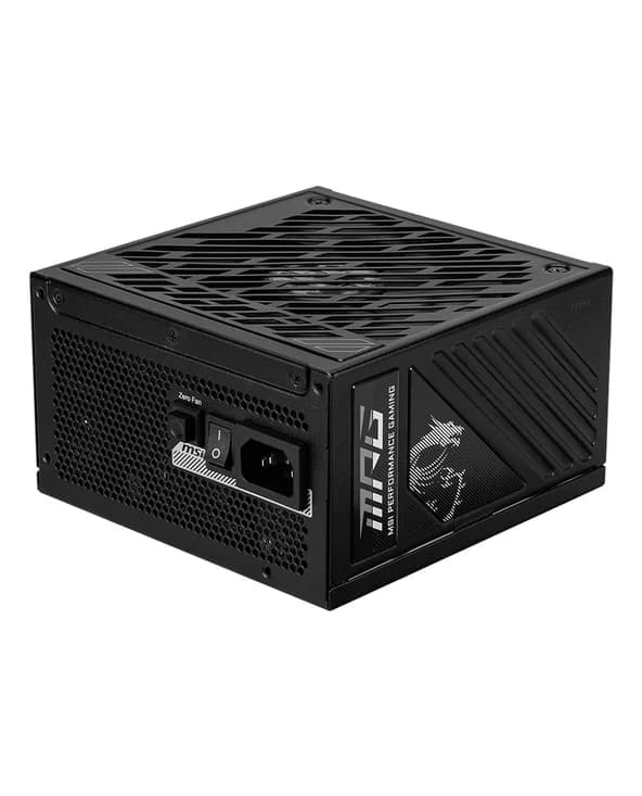 MSI MPG A1000GS PCIE5 Black