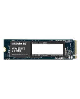 GIGABYTE G3NVMEV2256G 256Go