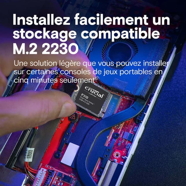 Crucial P310 2230 2To