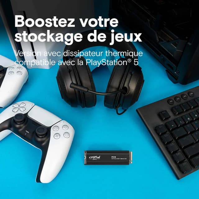 Crucial P310 4To Heatsink