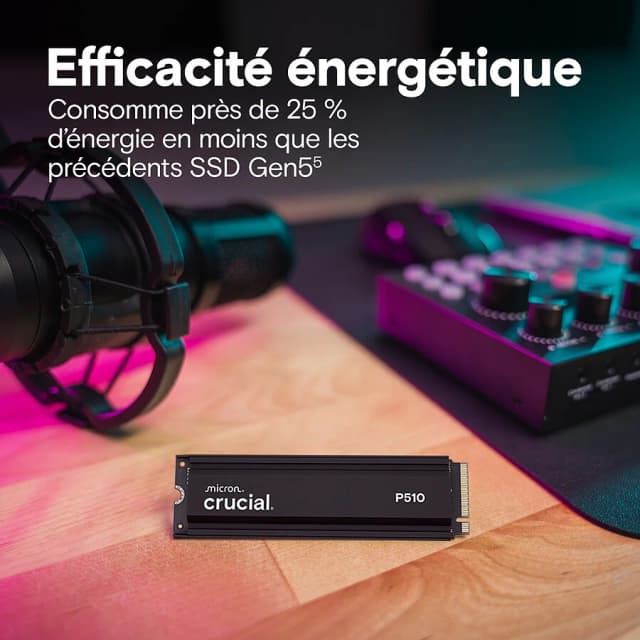 Crucial P510 2To with heatsink